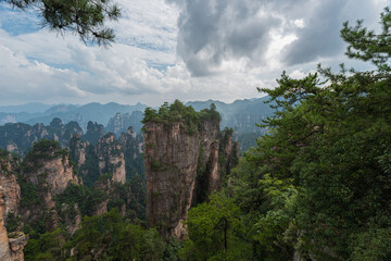 Fototapeta premium Green nature, the magical natural scenery of China's Zhangjiajie National Forest Park.