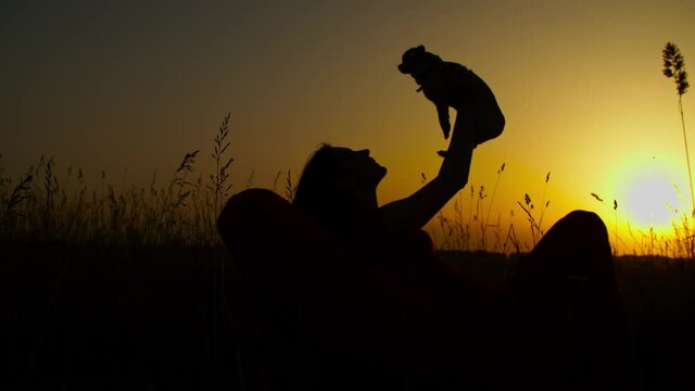 Silhouette of cheerful long hair female dog owner sitting on beanbag in summer nature, raising tiny shorthair apple head chihuahua dog up in the air and bonding in rays of beautiful sunset.