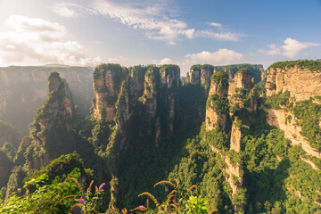 Green nature background, beautiful China Zhangjiajie National Forest Park.