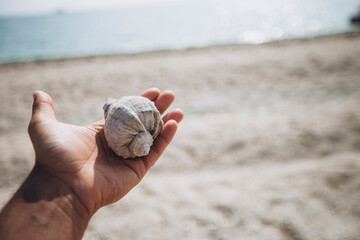 senior man relaxing on the beach