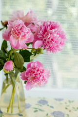 Pink peonies in vase on the table. country still life