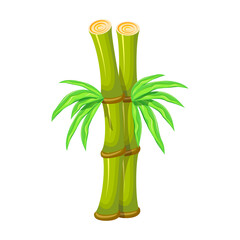Bamboo vector icon.Cartoon vector icon isolated on white background bamboo.