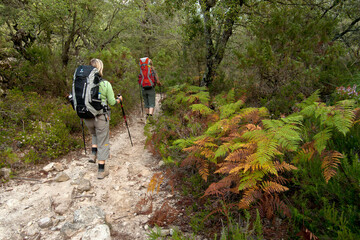 Obraz premium Prat de Cúber.Municipio de Escorca.Sierra de Tramuntana.Mallorca.Islas Baleares. Spain.
