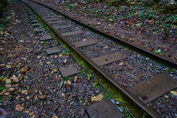 Naklejka premium Railway in the autumn forest.