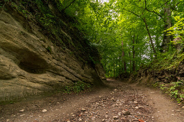 Premium hiking trail Seegang on Lake Constance