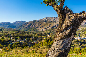 Rocky mountains landscape, Spain