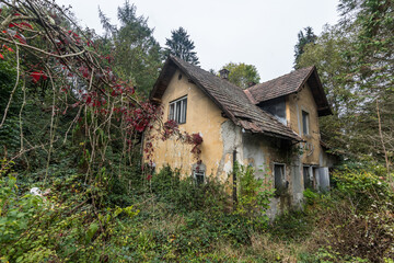 Naklejka na ściany i meble overgrown house with colorful plants