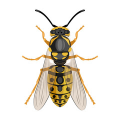 Parasites vector icon.Cartoon vector icon isolated on white background parasites.