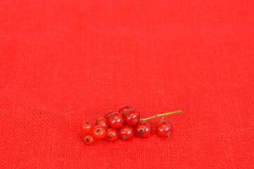 branch of red berries red currant on a red linen background.