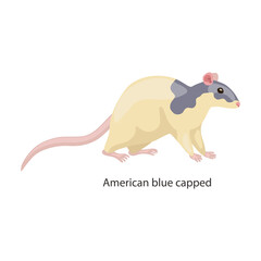 Rat vector icon.Cartoon vector icon isolated on white background rat.