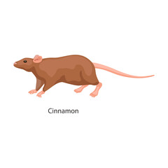 Rat vector icon.Cartoon vector icon isolated on white background rat.