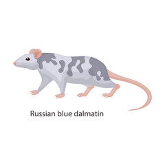 Rat vector icon.Cartoon vector icon isolated on white background rat.