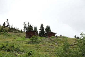Obraz premium wooden highland houses in mountain village.artvin/turkey