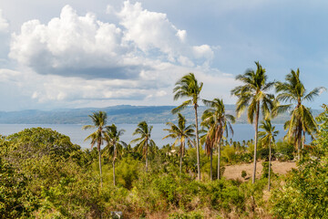 Fototapeta na wymiar Scenery with palm trees and clouds and the ocean on the background, surroundings of City of Dumaguete, Negros Oriental, Philippines 