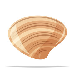 Clam shell vector isolated illustration