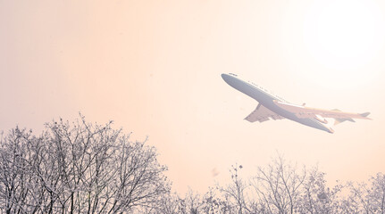 Airplane over the dark trees in the sky