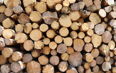 background of many logs of woods