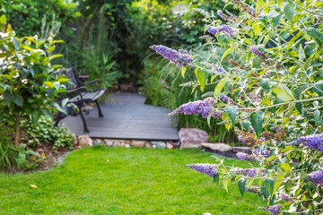 Landscape view of  beautiful garden with freshly mowed lawn and flowerbed