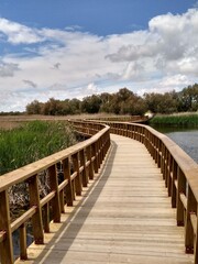 Fototapeta premium wooden bridge over the lake
