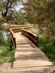 wooden bridge in the park