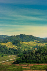 Obraz premium forest landscape : view of hills and mountain range full of green tree and clear blue sky.