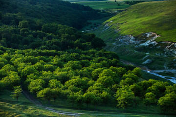 La Castel Landscape Reserve in Republic of Moldova. Green landscape. Amazing Nature. Park with Green Grass and Trees. Grassy field and rolling hills. rural scenery. Europe nature.
