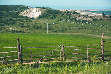 La Castel Landscape Reserve in Republic of Moldova. Green landscape. Amazing Nature. Park with Green Grass and Trees. Grassy field and rolling hills. rural scenery. Europe nature.