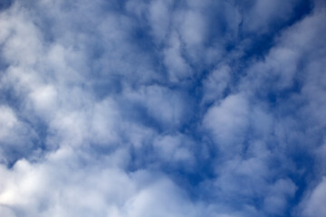 Obraz premium Air clouds in the blue sky. sky background