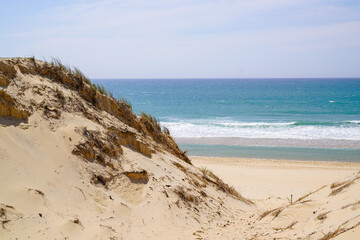 sandy natural dunes with access to sea beach in Lacanau ocean in France