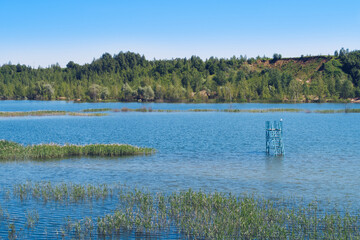 Summer landscape of the overgrown lake with overflooded beach tower in the middle of the water. Flooded sand quarry near Sychevo. Lush green summer lake view