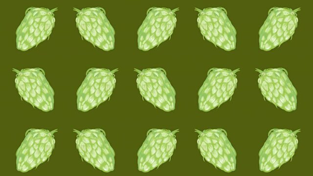 hop sprout pattern, ideal footage for themes such as craft beers, natural products and alcoholic beverages