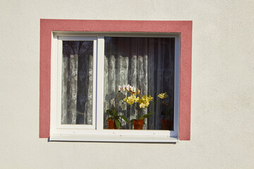 Fototapeta na wymiar orchid flowers on the window,white house and two orchid flowers on the window