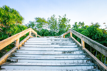 wooden bridge in the park