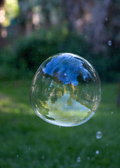Extra large soap bubble popping with a green yard background