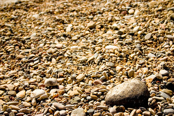 yellow pebbles on the beach