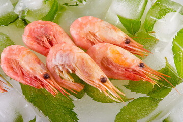 Shrimps on ice with mint leaves. Light background. Close-up. 