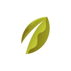 leaf colorful vector design template illustration