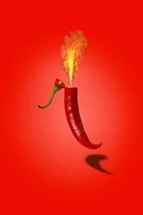 Poster red hot chili pepper with flame on a red background © Alex