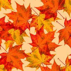 Naklejka na ściany i meble Autumn golden yellow background with maple leaves seamless pattern