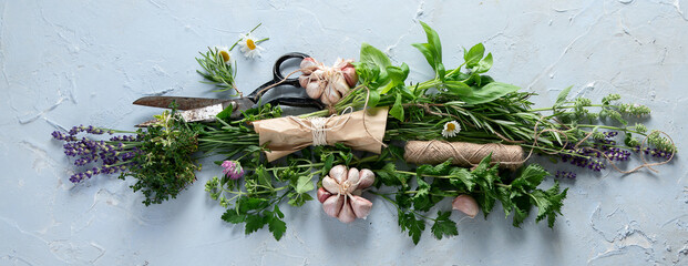 Fresh green garden herbs