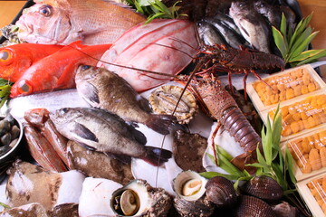 鮮魚の盛合せ