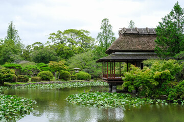 日本庭園の茶室「隔林亭」