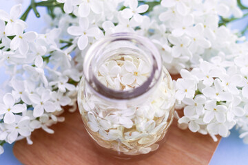 White lilac flowers in a glass bottle. Preparation of infusions. Aromatherapy. Selective focus