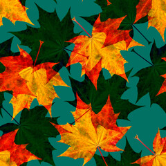 autumn seamless pattern with maple leaves on a green background.