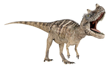 Dinosaurier Ceratosaurus, Freisteller
