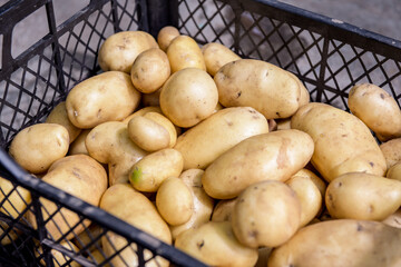 Young organic potatoes stand out among the many large background potatoes on the market. Potatoes...