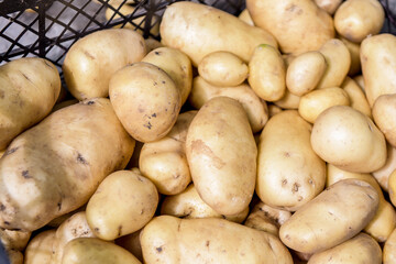 Young organic potatoes stand out among the many large background potatoes on the market. Potatoes...