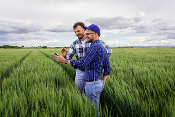 Two farmers standing in green wheat field examining crop during the day. © Zoran Zeremski