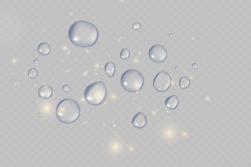 Water rain drops or steam shower isolated on transparent background. Realistic pure droplets condensed. Vector clear vapor water bubbles on window glass surface for your design.
