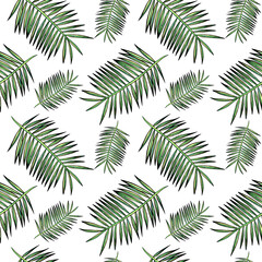 coconut palm branches seamless pattern on a white background